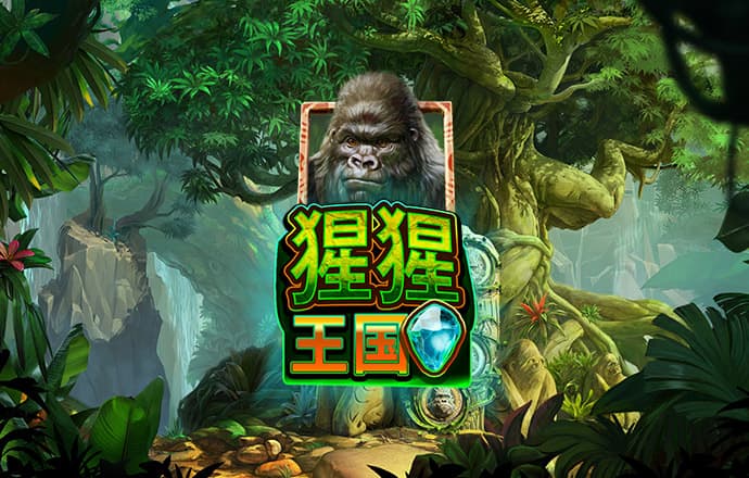高云体育app官方下载